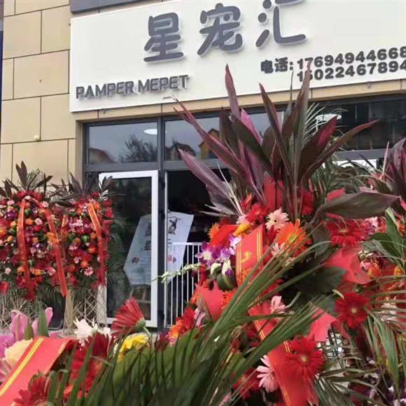 星宠汇宠物生活会馆:天津城区西青区西青大学城附近