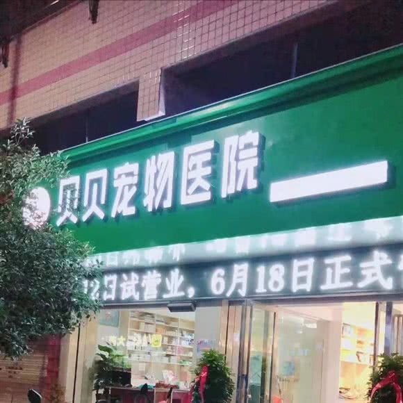 贝贝宠物医院:怀化市鹤城区湖天一色附近