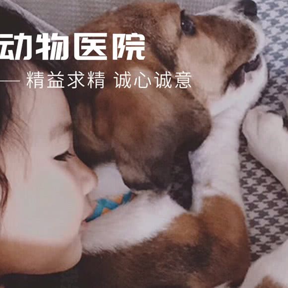 精诚动物医院(宏宇新城店):怀化市鹤城区顺天大道附近