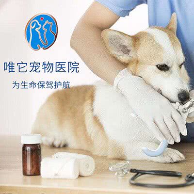 唯它宠物医院:怀化市鹤城区体育中心附近