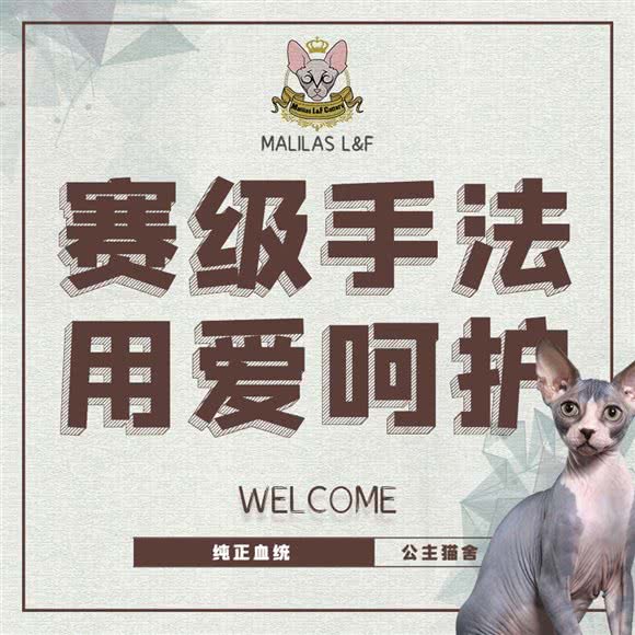 Malilas L&F宠物生活馆·公主猫舍:天津城区西青区西青大学城附近