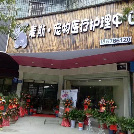 麦斯宠物医疗照护中心:娄底市娄星区万豪春园步行街附近