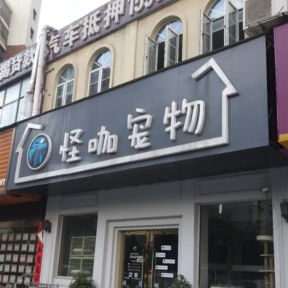 怪咖宠物:娄底市娄星区人文科技学院附近