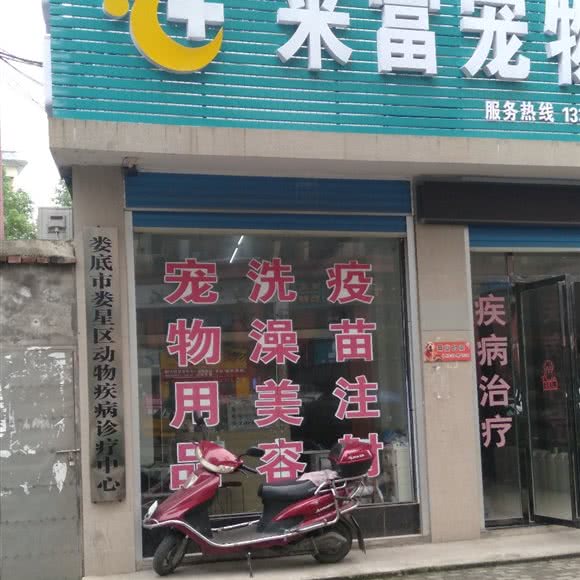 娄底市娄星区动物疾病诊疗中心:娄底市娄星区人文科技学院附近