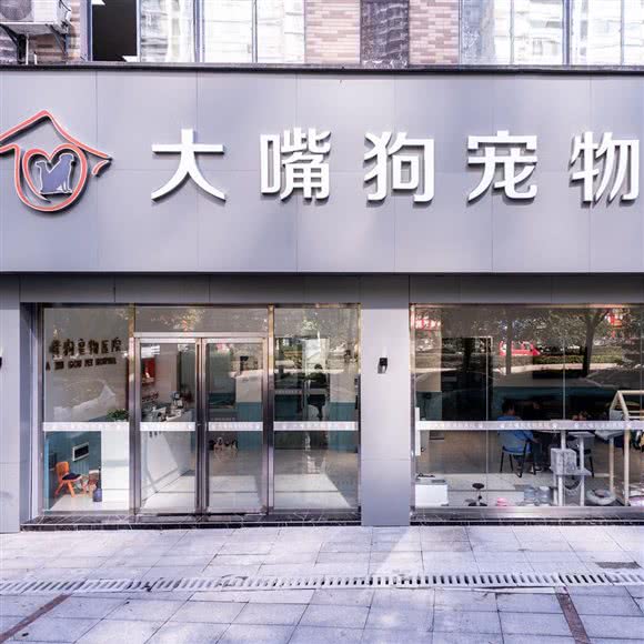 大嘴狗宠物医院:娄底市娄星区人文科技学院附近
