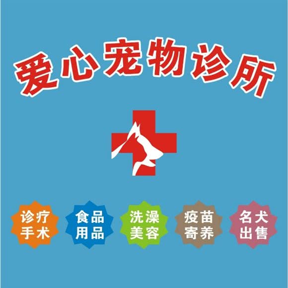 娄底爱心宠物诊所:娄底市娄星区新市政府附近
