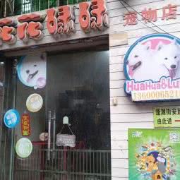 花花碌碌宠物店:广州市荔湾区中山七八路附近