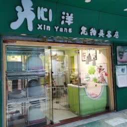 心洋狗狗美容:广州市荔湾区中山七八路附近