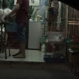 心宠宠物美容中心:广州市荔湾区中山七八路附近