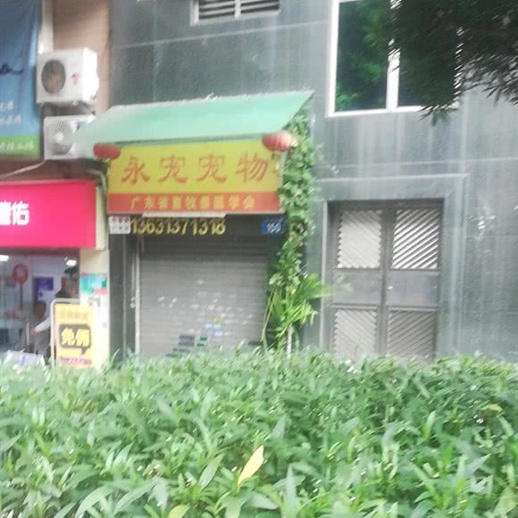 永宠宠物:广州市荔湾区中山七八路附近
