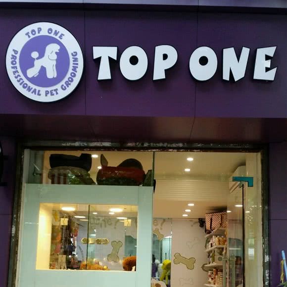 top one专业宠物美容:广州市荔湾区中山七八路附近