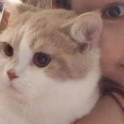 做我的猫(越富广场店):广州市荔湾区中山七八路附近