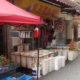 兄弟宠物店:广州市荔湾区上下九商业区附近