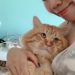 袖虎宠物(御景壹号店):广州市荔湾区芳村附近