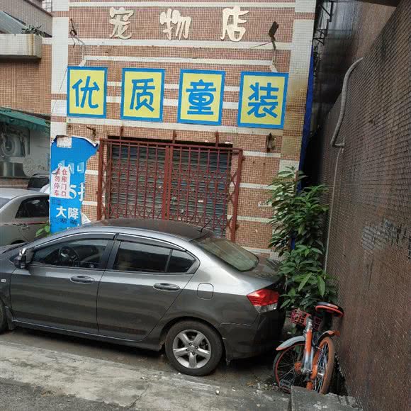 On  Dog Dog宠物店:广州市荔湾区芳村附近