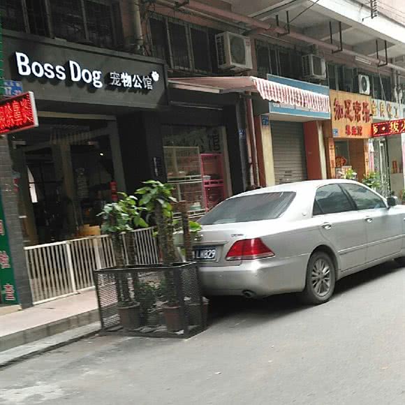 Boss Dog 宠物公馆:广州市荔湾区芳村附近