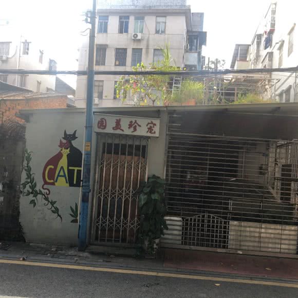 园美珍宠:广州市荔湾区芳村附近