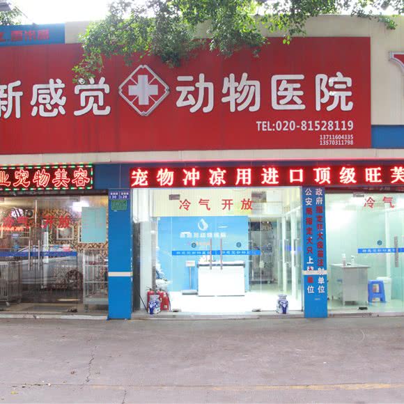 新感觉动物医院:广州市荔湾区芳村附近