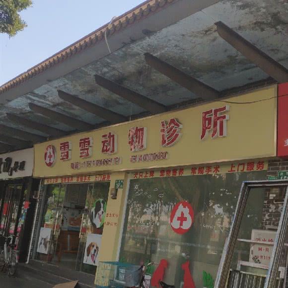 雪雪动物诊所:广州市荔湾区芳村附近