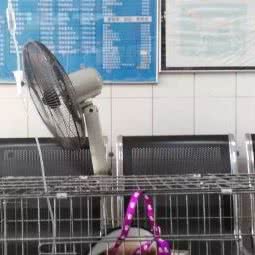 献爱心宠物服务部:广州市荔湾区西村/西场附近