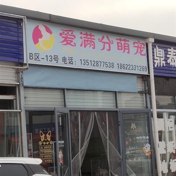 爱最高分萌宠:天津城区西青区梅江会展中心附近