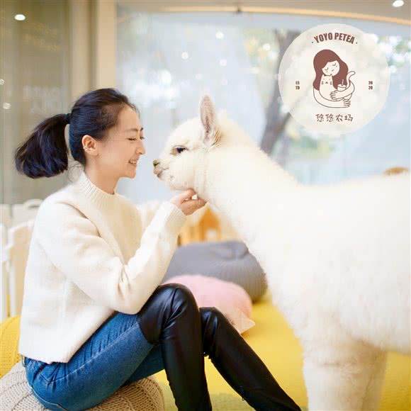 悠悠农场 YO-YO PETEA:北京城区朝阳区酒仙桥附近