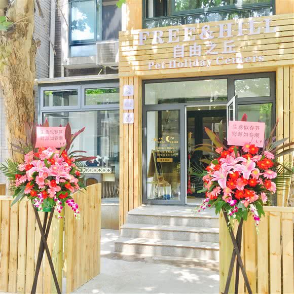 Free Hill宠物私人俱乐部:天津城区西青区梅江会展中心附近