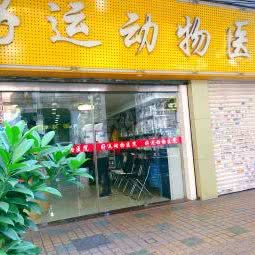 好运宠物服务店:广州市越秀区北京路商业区附近