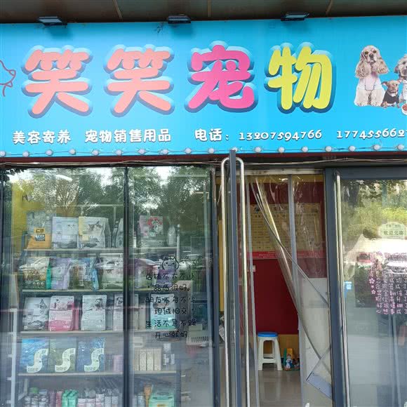 笑笑宠物:天津城区西青区梅江会展中心附近