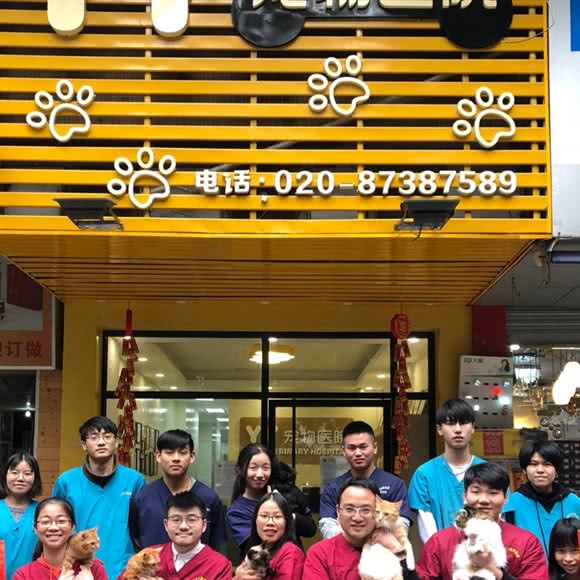 YY宠物医院(五羊新城店):广州市越秀区五羊新城附近