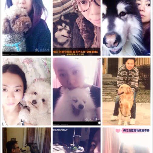 梅江别墅宠物家庭寄养:天津城区西青区梅江会展中心附近