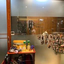 俊宠:广州市越秀区环市东路/区庄附近