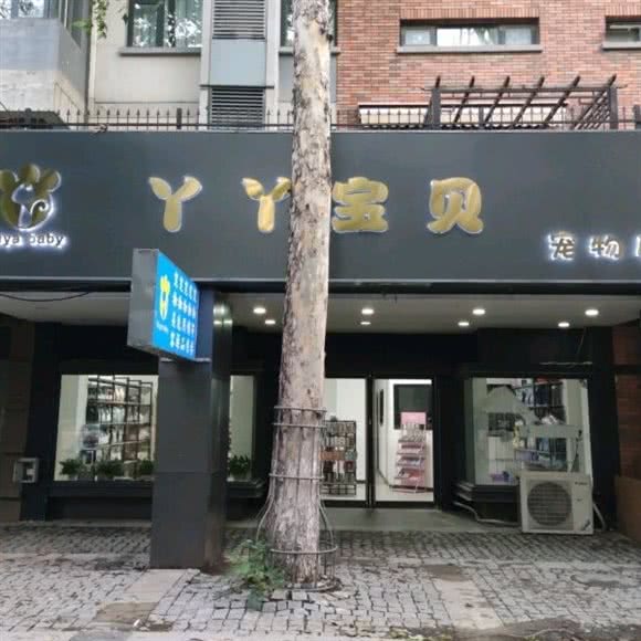 丫丫宝贝宠物店:天津城区西青区梅江会展中心附近