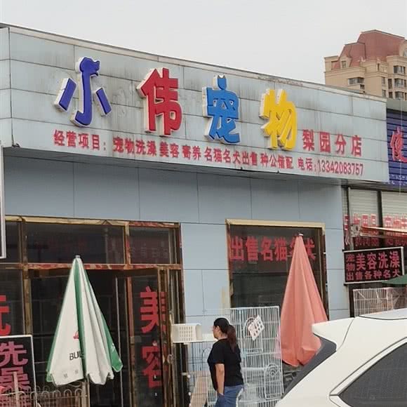 小伟宠物(梨园分店):天津城区西青区梅江会展中心附近