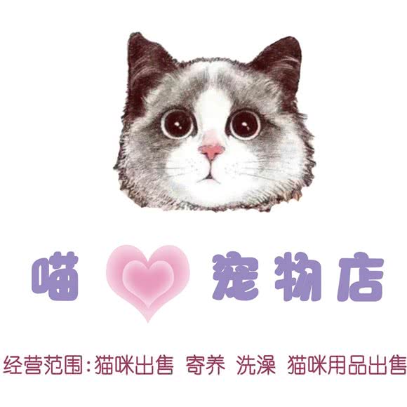 喵心宠物:广州市越秀区海珠广场附近