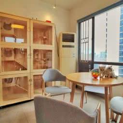 毛球宠物寄养工作室:广州市海珠区江南大道沿线附近