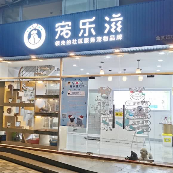 宠乐滋:广州市海珠区江南大道沿线附近