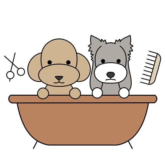 Cc.pet:广州市海珠区江南大道沿线附近