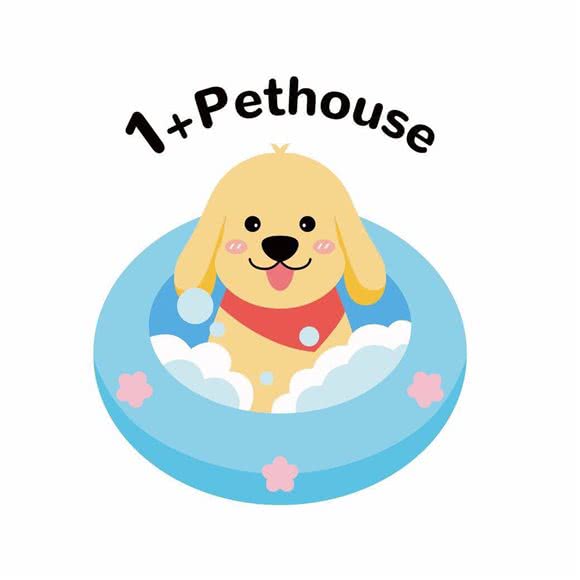 1+宠物屋:广州市海珠区江南大道沿线附近