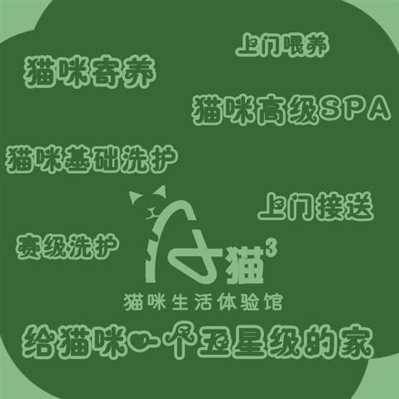 A+猫立方-猫咪生活体验馆(万科里店):广州市海珠区江南大道沿线附近