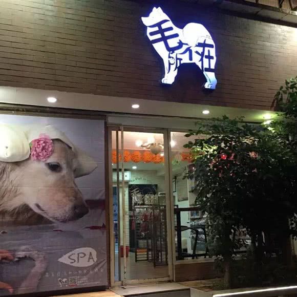 毛所不在宠物美容专门店:广州市海珠区江南大道沿线附近