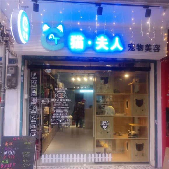 猫?夫人宠物美容:广州市海珠区江南西附近
