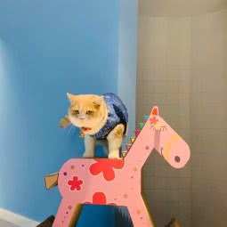 么么宠物(江南西店):广州市海珠区江南西附近