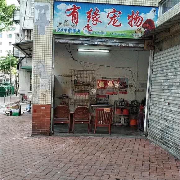 有缘宠物(沙园店):广州市海珠区工业大道沿线附近