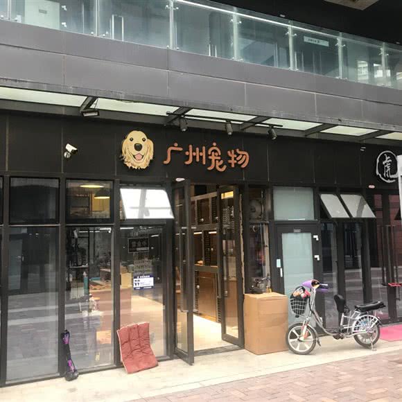 广州宠物:广州市海珠区工业大道沿线附近