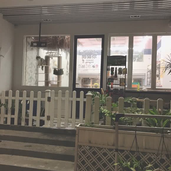 狗猫你宠物生活馆:广州市海珠区工业大道沿线附近
