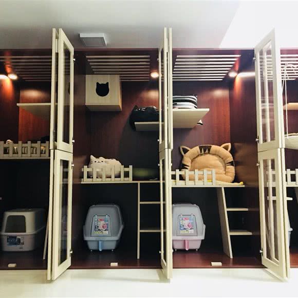 伊豆貓社猫咪寄养酒店:广州市海珠区工业大道沿线附近