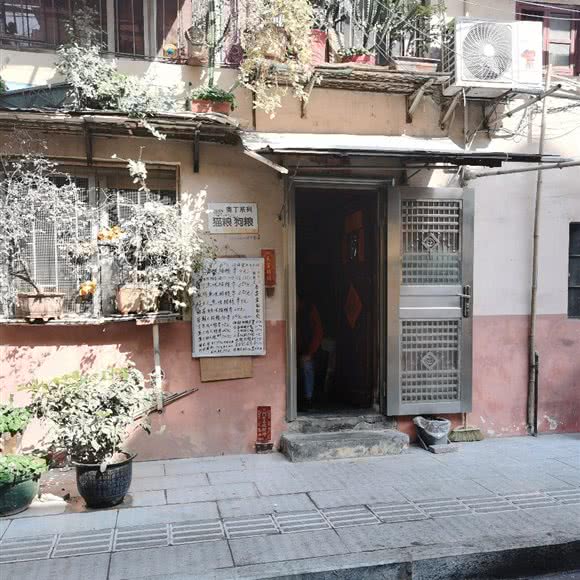 奥丁系列猫粮狗粮:广州市海珠区工业大道沿线附近