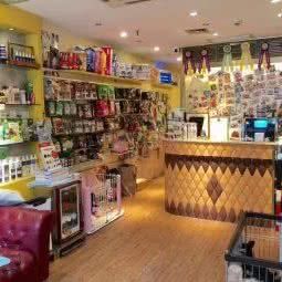 宠爱有家宠物狗会所:广州市海珠区滨江路沿线附近