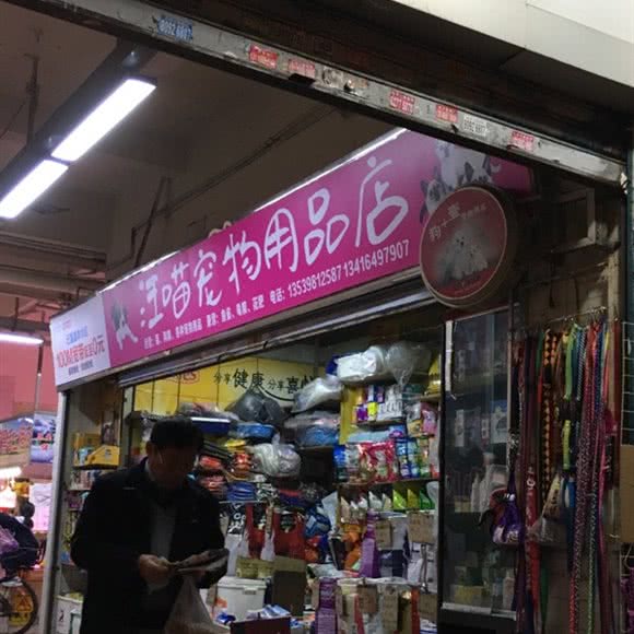 汪喵宠物用品店:广州市海珠区滨江路沿线附近
